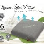 Goodnite Latex Pillow