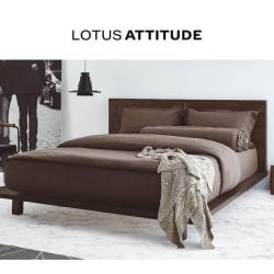 Lotus attitude